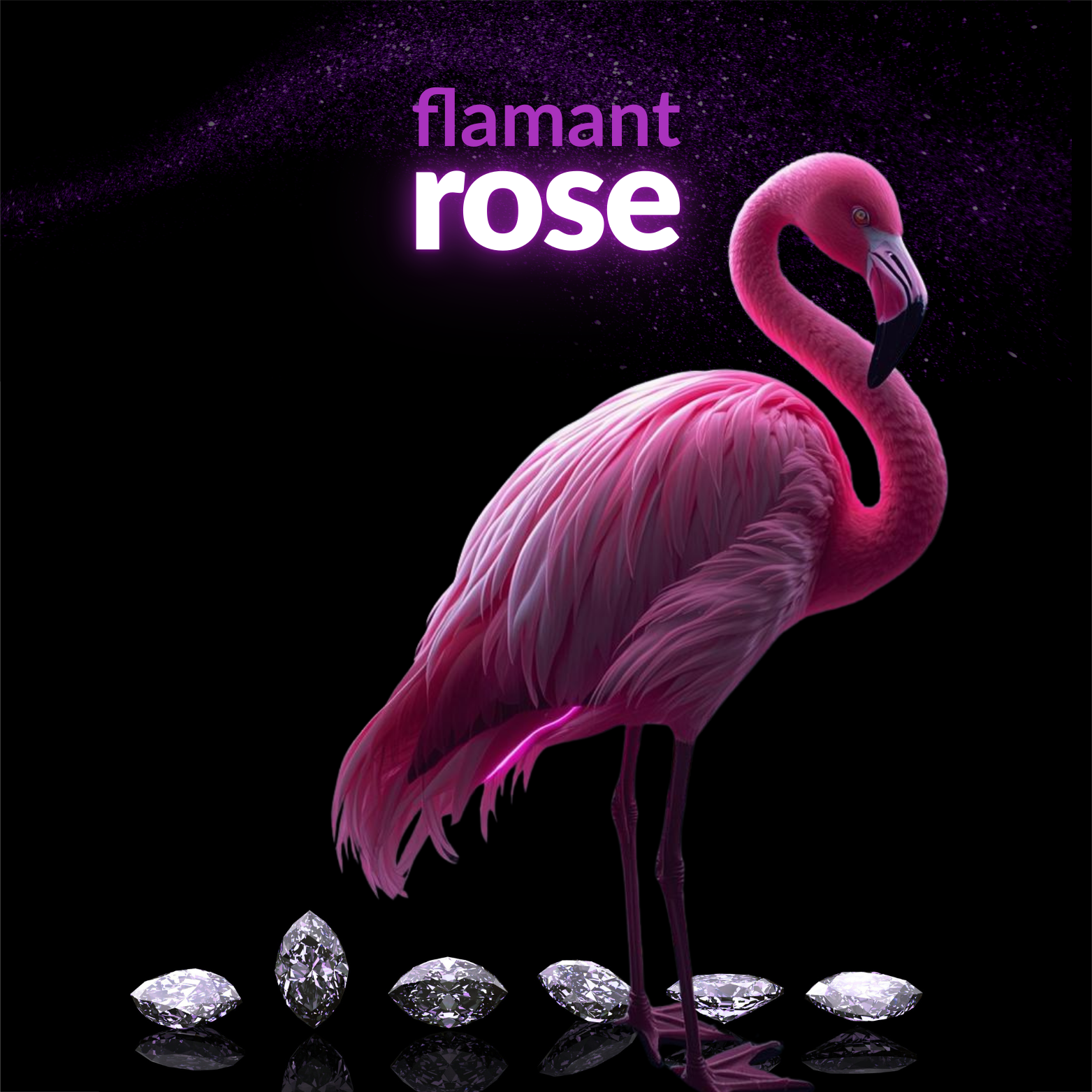 Flamant 🦩 Rose